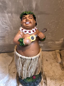 Hawaiian Dance Dude