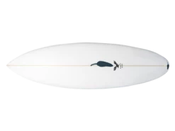 Chilli Surfboards Rarest Bird