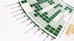 Surfing Worldwide - Infografik -Surf Gear Verkauf surfinfographic marmotamaps 03